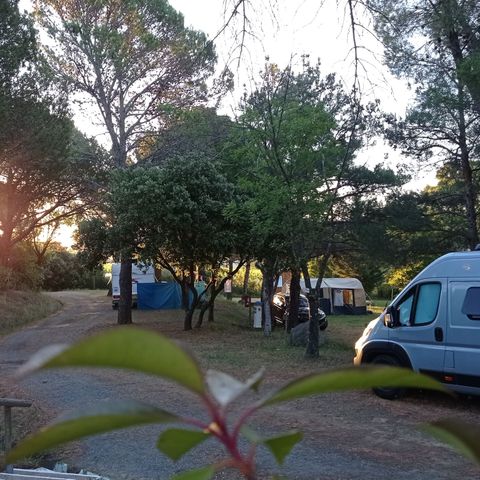 Camping Les Terrasses - Camping Hérault - Afbeelding N°5