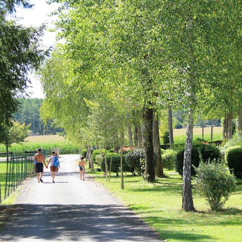 Camping l'Orée du Bois by Noricamp - Camping Pyrénées-Atlantiques - Image N°3