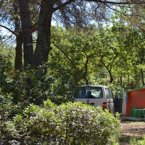 Camping Domaine de la Bergerie - Camping Alpes-Maritimes - Afbeelding N°3