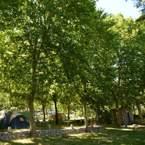 Camping Domaine de la Bergerie - Camping Alpes-Maritimes - Afbeelding N°4