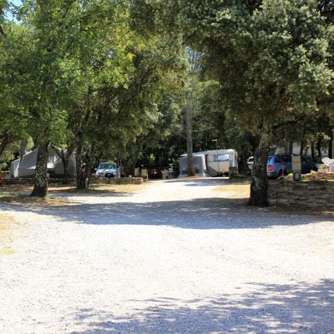 Camping Les chênes - Camping Gard - Image N°3