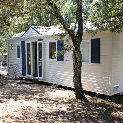 MOBILE HOME 4 people - MOBIL HOME Air conditioned - 2 bedrooms - 3.40 x 7.80m / Green Oak