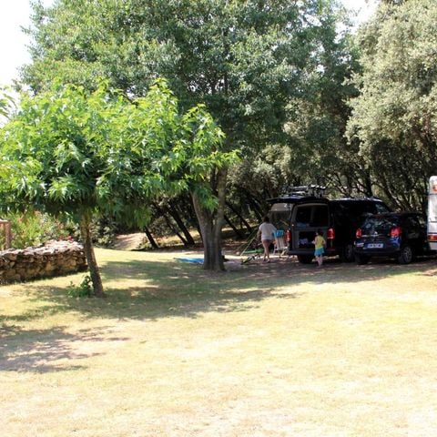 Camping Les chênes - Camping Gard - Image N°4