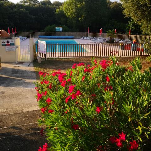 Camping Les chênes - Camping Gard