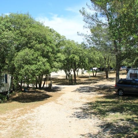 Camping Les chênes - Camping Gard - Image N°2