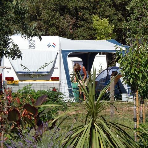 EMPLACEMENT - Forfait Confort (1 tente ou caravane ou camping-car / 1 voiture / électricité 16A)