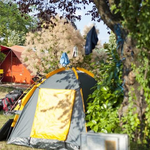 STAANPLAATS - Comfort standplaats pakket