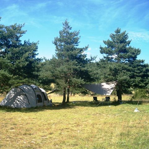 EMPLACEMENT - Emplacement : voiture + tente/caravane ou camping-car