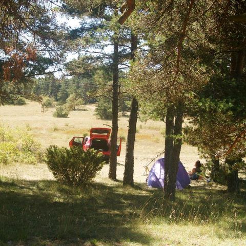 PARCELA - Parcela: coche + tienda/caravana o autocaravana