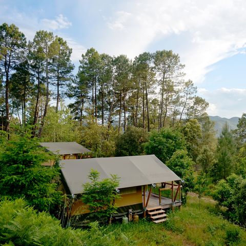 TIENDA DE LONA Y MADERA 4 personas - Baroudeur (sin baño privado)