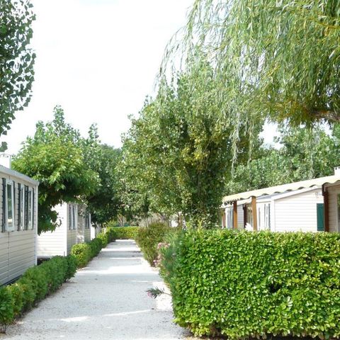 MOBILE HOME 4 people - MH2 PARADIS 30 m², with sanitary facilities