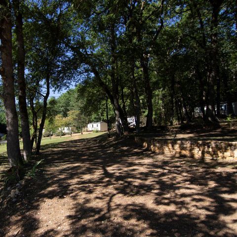 TENT 4 people - Ready to camp (without sanitary facilities)