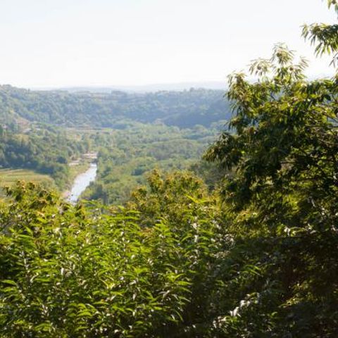 Camping Les Châtaigniers - Camping Ardèche - Afbeelding N°5