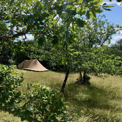 STAANPLAATS - Kale standplaats + tent