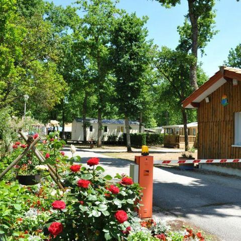 Flower Camping la Canadienne - Camping Gironde - Image N°4