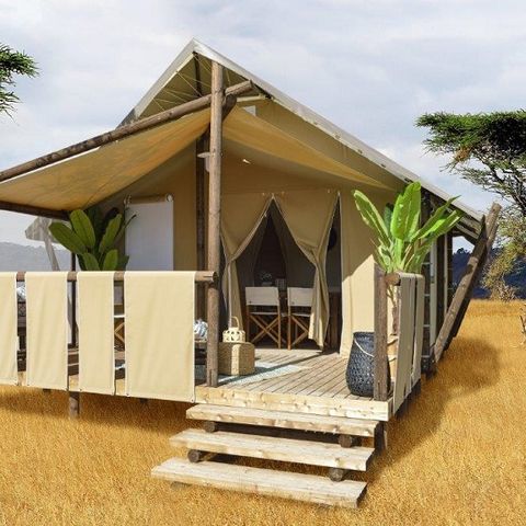 tent 4 personen - LODGETENT JUNGLE (2023) 25 M² ZONDER SANITAIR 4 PERS