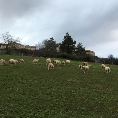 GÎTE 4 personnes - Rural