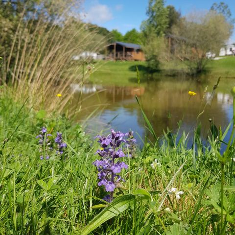 CHALET 4 personnes - Vigneron