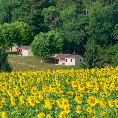 La Forêt Enchantée - Camping Dordogne - Image N°4