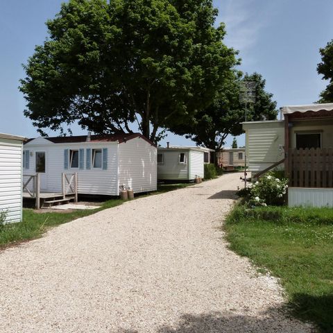 Camping Bellevue - Camping Charente-Maritime - Afbeelding N°5