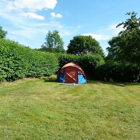 PARCELA - Parcela de camping sin electricidad para tiendas