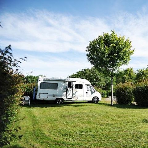 STAANPLAATS - Grote comfortplaats - caravan en camper