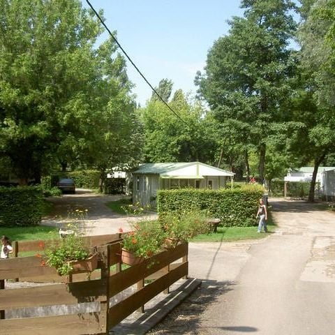 Camping La Marjorie - Camping Giura - Image N°5