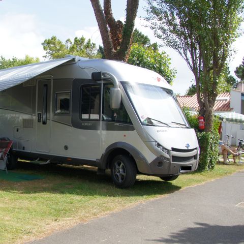 PARZELLE - Stellplatz + Strom 10A + 1 Fahrzeug + Zelt oder Wohnwagen