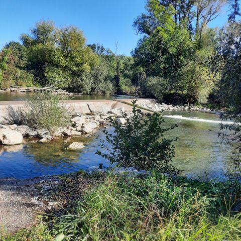 Camping Le Chapeau Chinois - Camping Haute-Saône - Image N°4