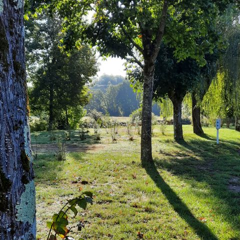 Camping Le Chapeau Chinois - Camping Haute-Saône - Image N°5