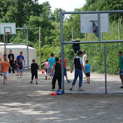 Flower Camping La Blanche Hermine - Camping Morbihan - Image N°2