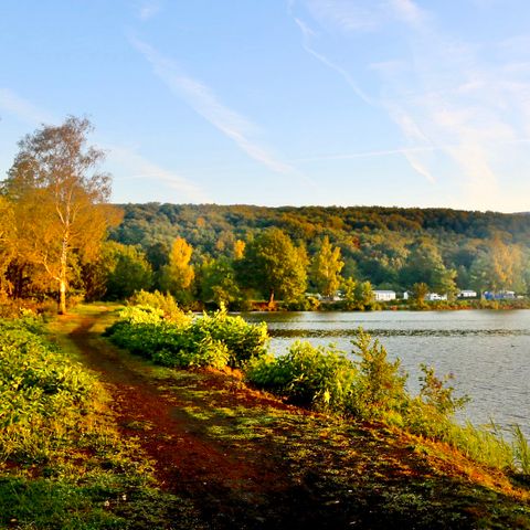 Camping Des Ballastières - Camping Haute-Saône - Image N°3