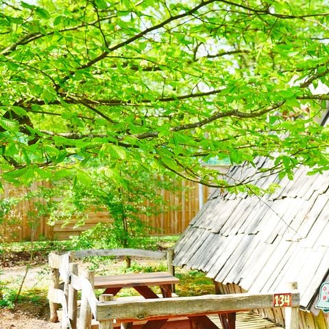 UNUSUAL ACCOMMODATION 3 people - Witch Hut