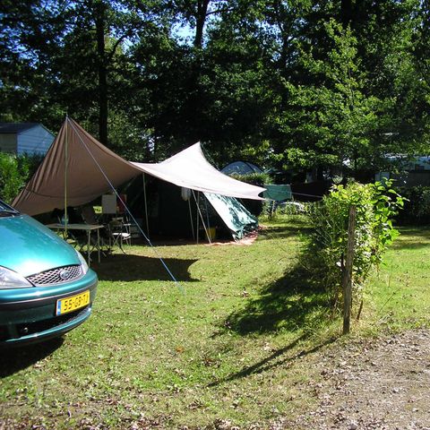 STAANPLAATS - Duopakket: 1 auto + tent, caravan of camper