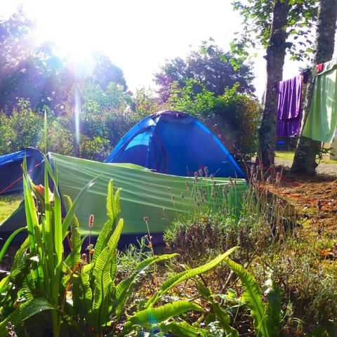 Camping L'etang D'aleth - Camping Morbihan - Image N°3