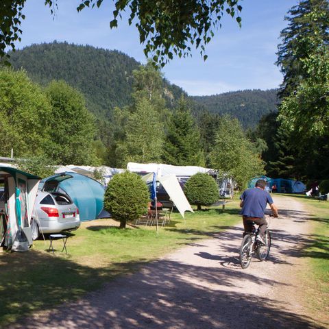 PIAZZOLA - Pacchetto Comfort (1 tenda, roulotte + 1 auto o camper / elettricità 10A)