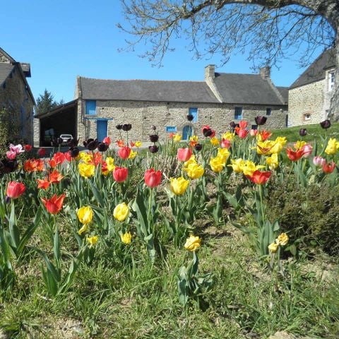 Flower Camping La Hallerais - Camping Côtes-d'Armor - Afbeelding N°5