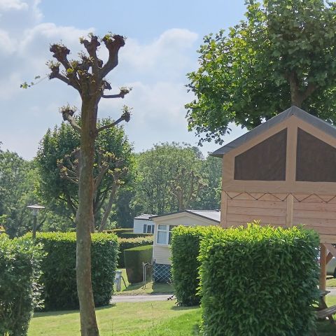 HÉBERGEMENT INSOLITE 2 personnes - Tente Nature sur pilotis Standard 7.2 m² - sans sanitaire