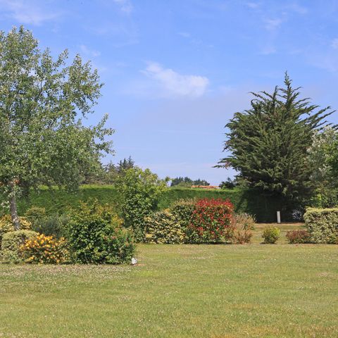 PIAZZOLA - Natura senza elettricità