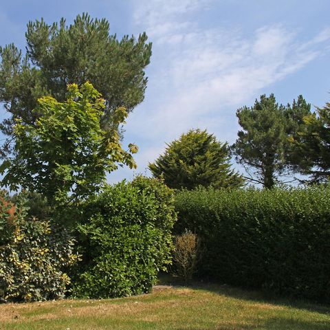 PIAZZOLA - Natura senza elettricità