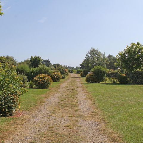 PIAZZOLA - Natura senza elettricità