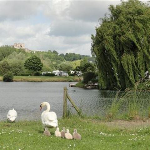 Flower Camping des 2 Rivières - Camping Seine-Maritime - Afbeelding N°0