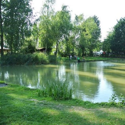 Camping les Alouettes et l'Image - Camping Noord - Afbeelding N°4