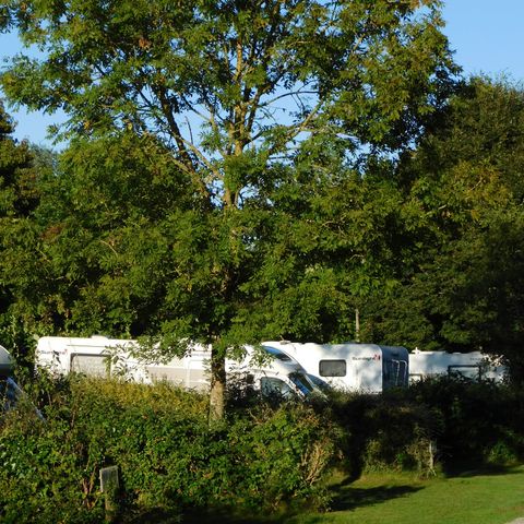 STAANPLAATS - 1 Tent of 1 Camper of 1 Caravan + voertuig (zonder elektriciteit)