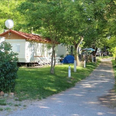 Camping Lou Troumpetoun - Camping Var - Image N°5