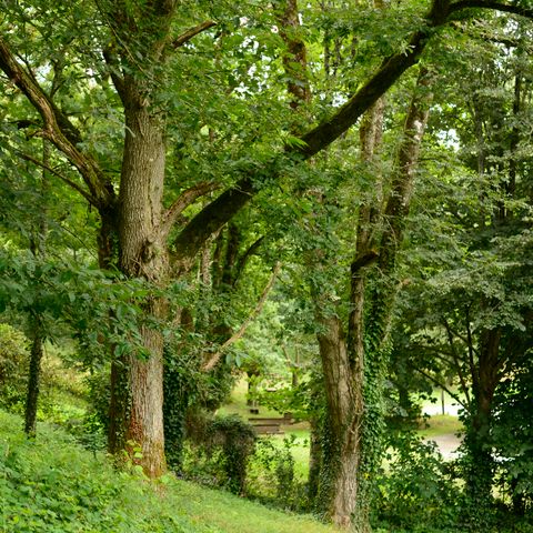 EMPLACEMENT - Emplacement de camping