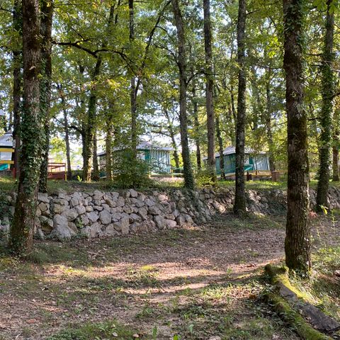 BUNGALOW DE LONA 5 personas - Bengalí (sin instalaciones sanitarias)