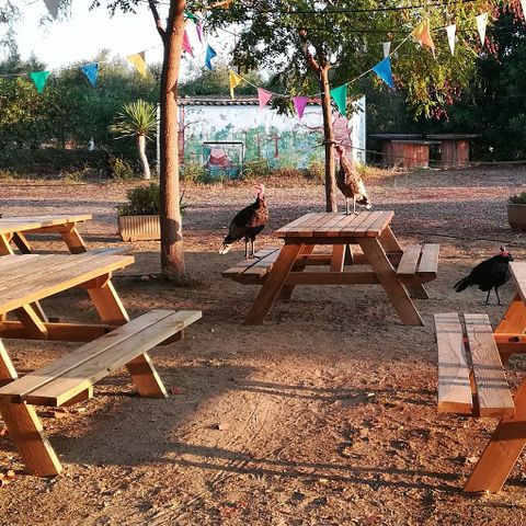 Camping Ecocamp Vinyols - Camping Tarragona - Afbeelding N°3