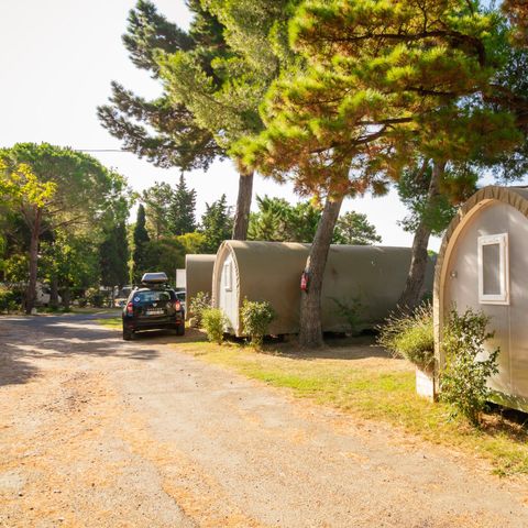 BUNGALOW DE LONA 4 personas - COCO DULCE - Sin instalaciones sanitarias