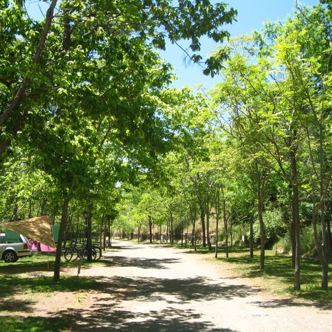 EMPLACEMENT - camping-car